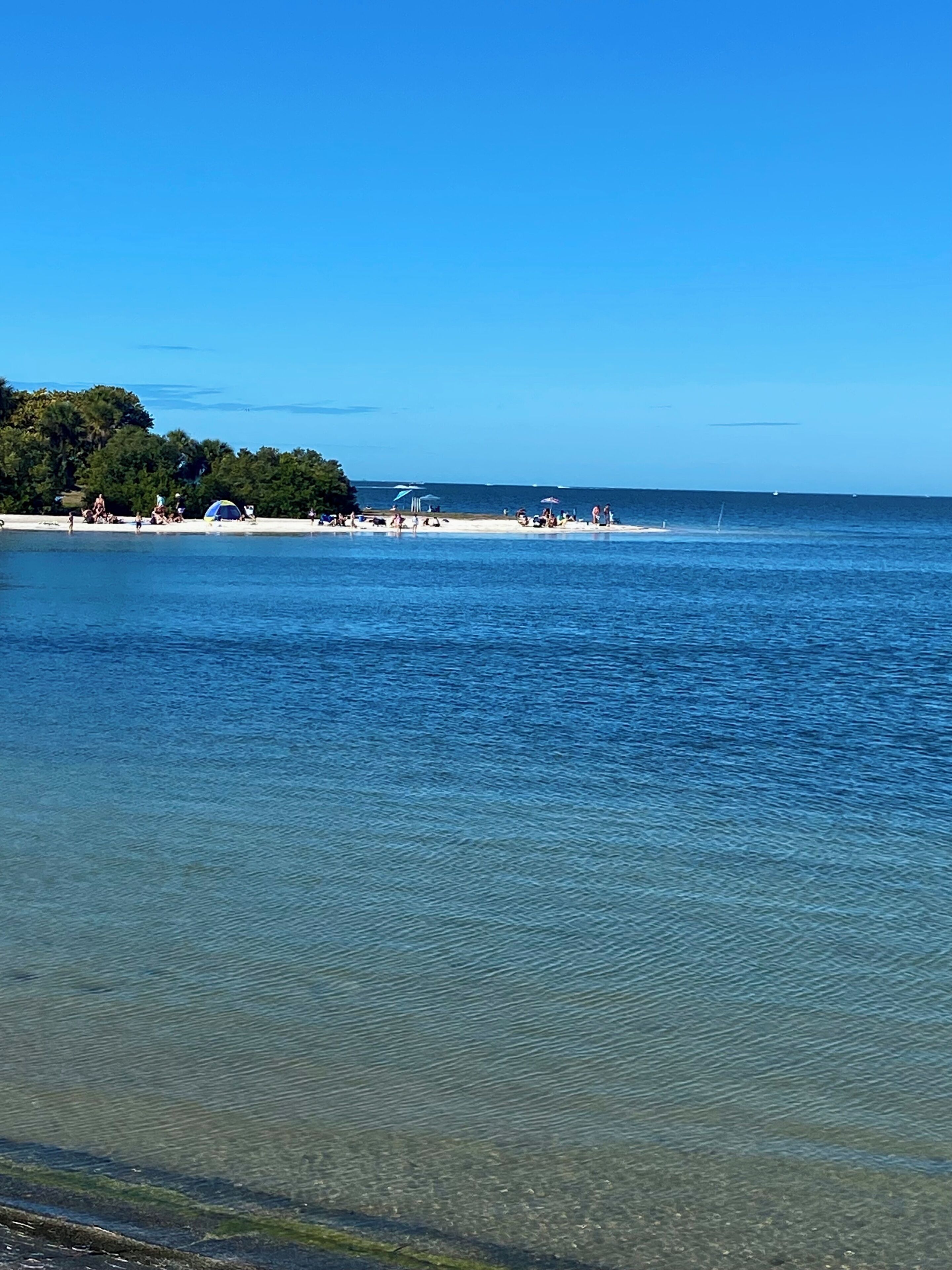 Ein Strand mit klarem Wasser, einem Sandufer und einem bewaldeten Hintergrund.