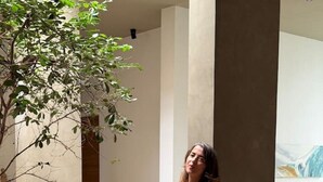Um interior moderno com uma mesa de madeira, um banco e uma planta grande.