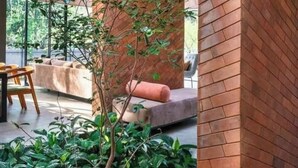 Um interior moderno com parede de tijolos, uma pequena árvore e uma área de estar com mesa e cadeiras.