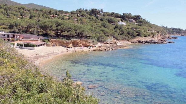 A coastal property with a beach, clear water, and a hillside with trees and houses. - Villa Artemis apartment 1 (Capoliveri isola d'Elba)
