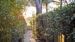 A stone pathway leading through a garden with dense foliage on both sides and a wooden fence at the end. - Terrazzina by Interhome (Rosignano Marittimo)