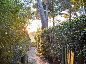 Property grounds - Terrazzina by Interhome (Rosignano Marittimo)
