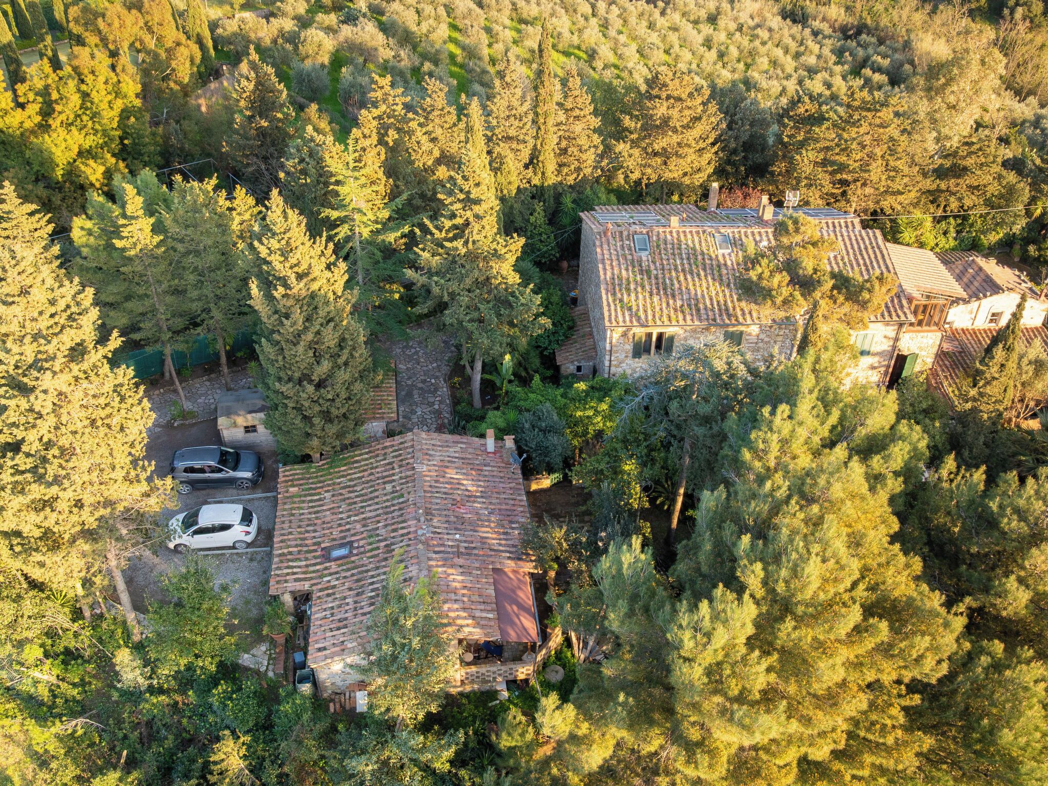 A residential area with multiple houses surrounded by dense forest.