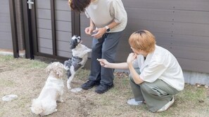 Overnatningsstedets område