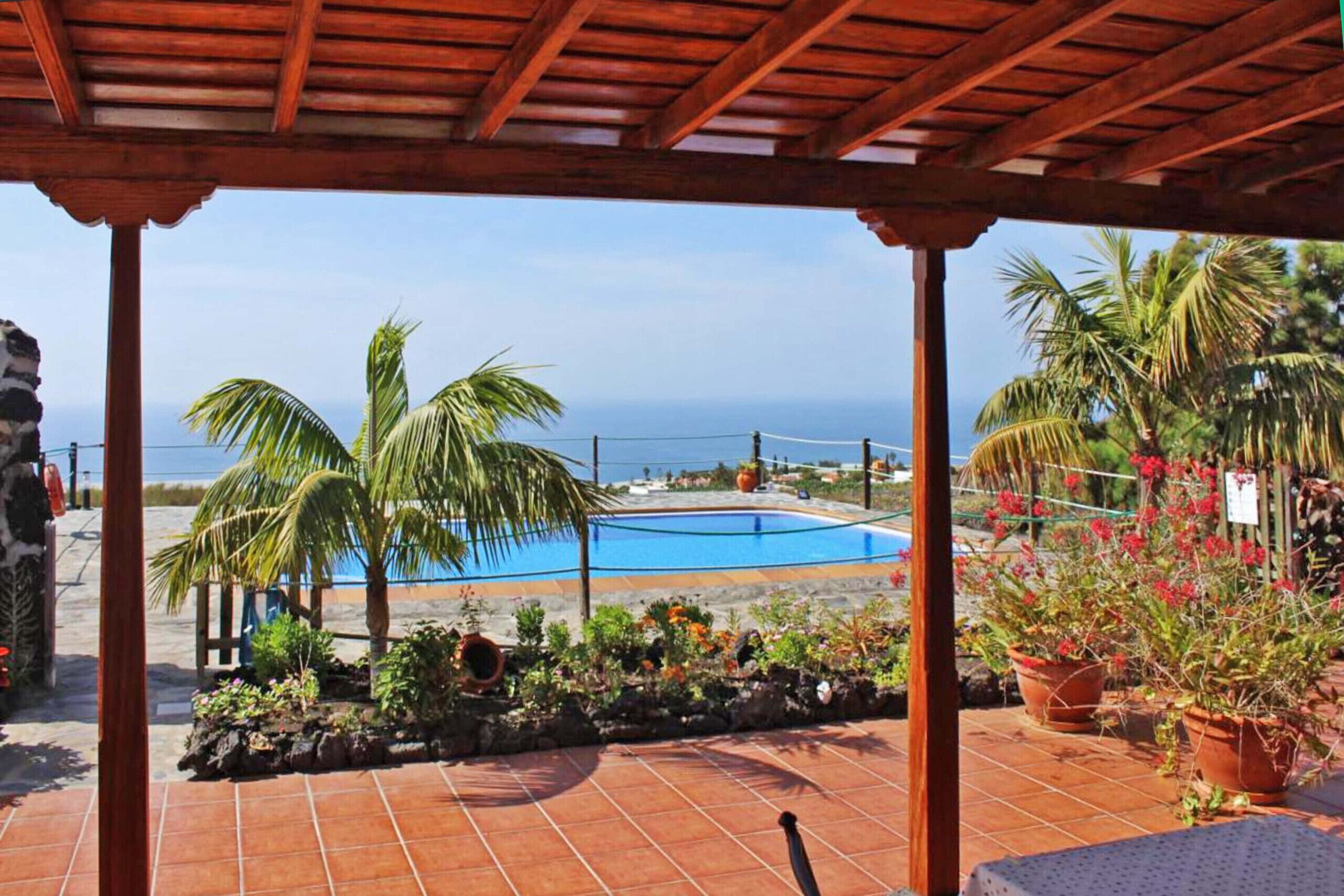 Un espacio exterior techado con piscina, palmeras y plantas en macetas.