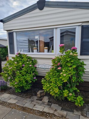 Imagen sin descripción, 2 de 13, botón