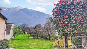 Un jardin avec une pelouse verdoyante, un arbre aux fleurs rouges et, au loin, une chaîne de montagnes.