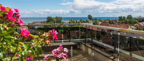 Terrain de lâhĂ©bergement