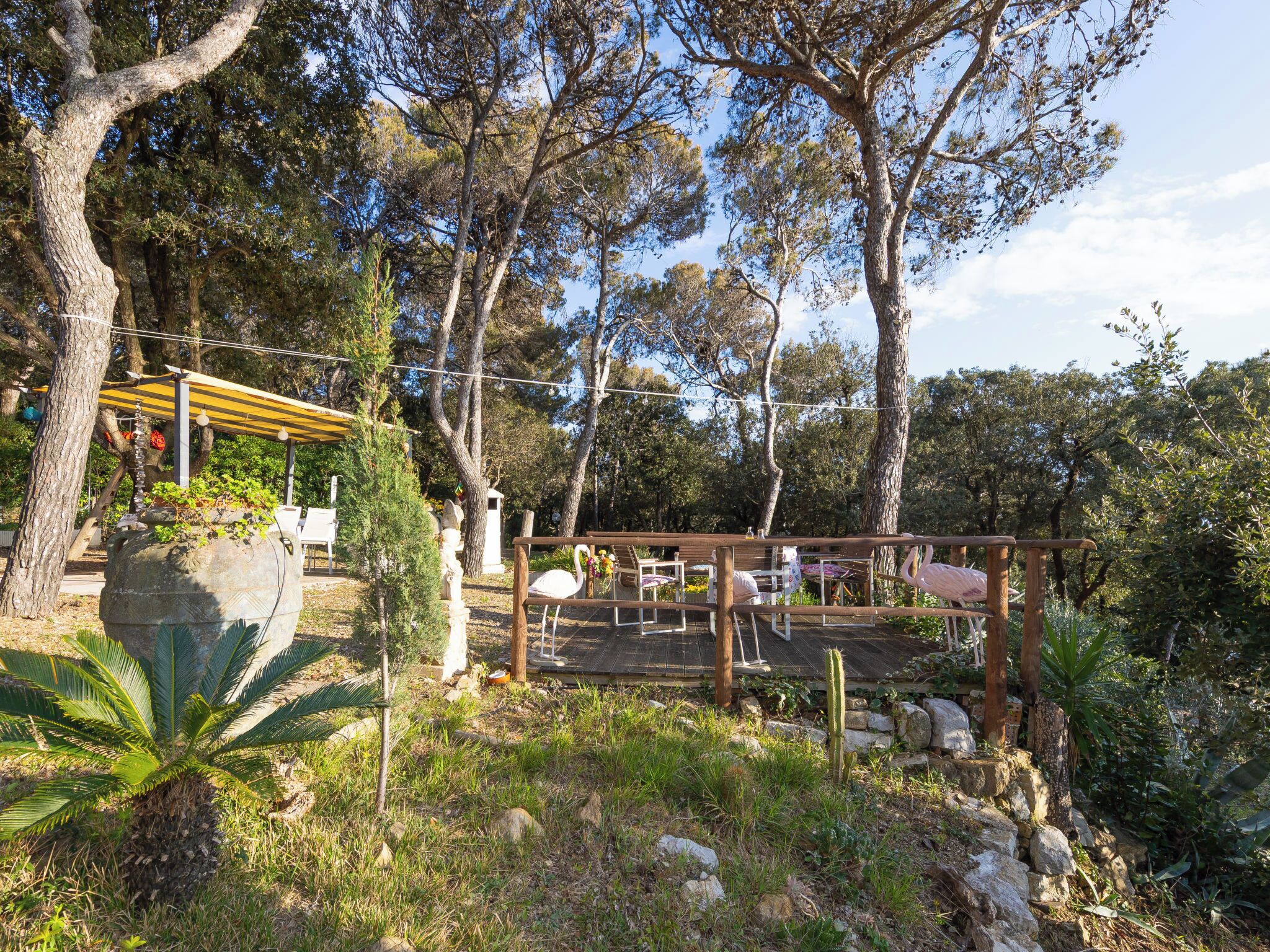 Un jardin agrémenté d’une pergola en bois, d’un espace détente et d’un grand bac à fleurs contenant un palmier.