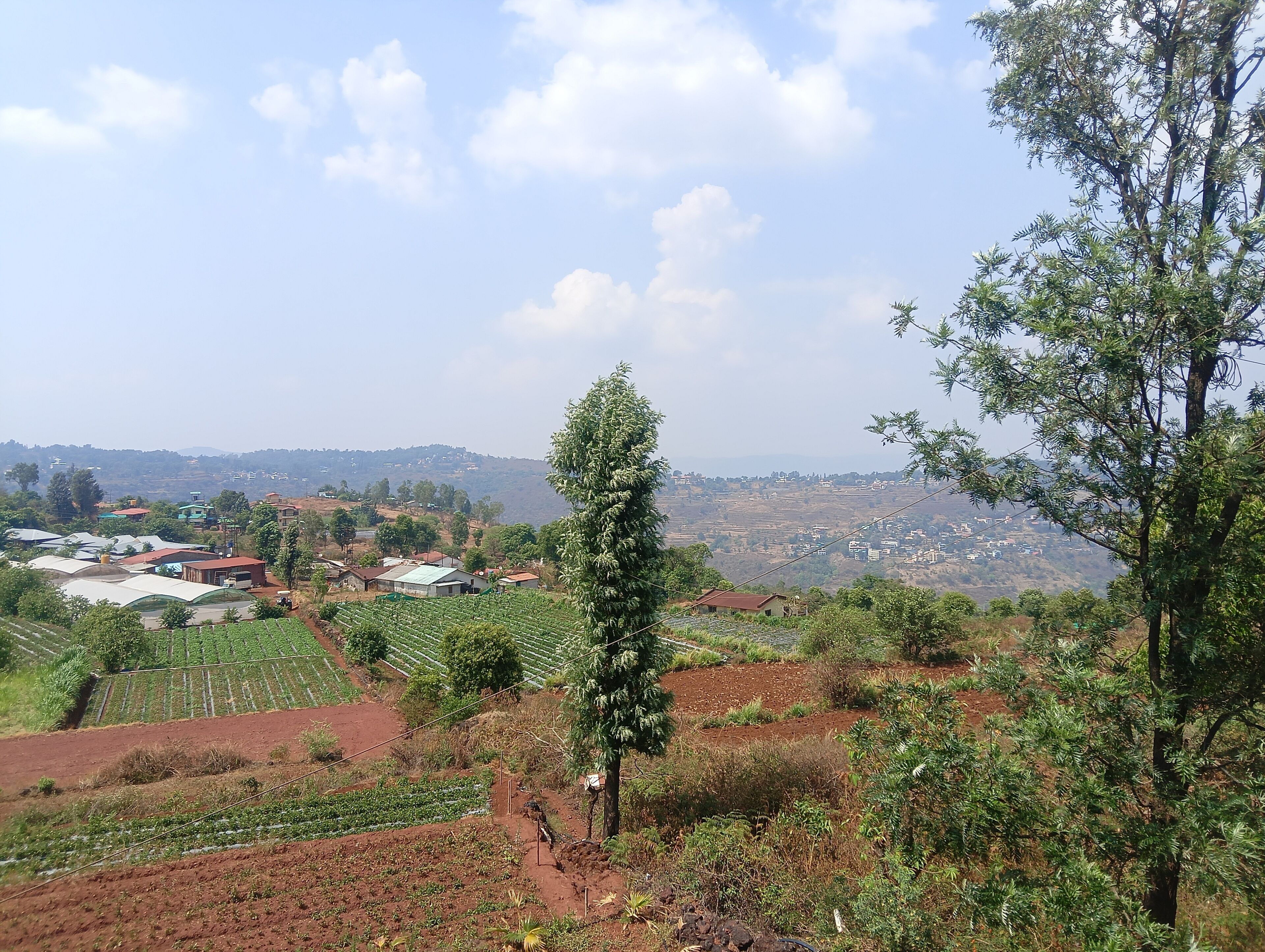 A rural landscape with fields, trees, and scattered buildings.