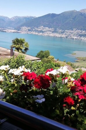 Nicht klassifiziertes Bild, 3 von 10, Schaltfläche