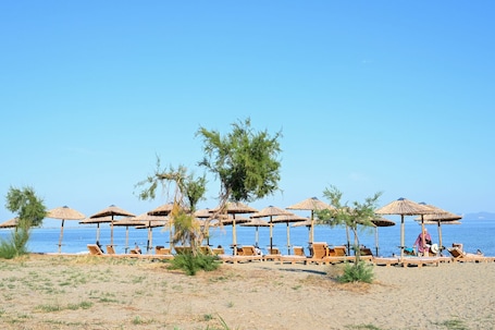Beach. Beach Apartment M