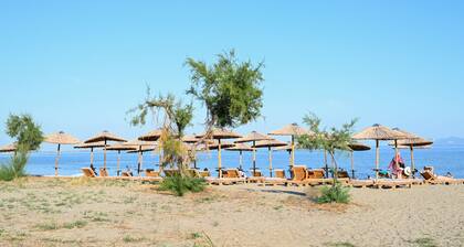 Beach Apartment M
