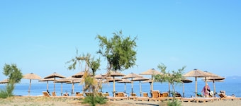 Beach Apartment M