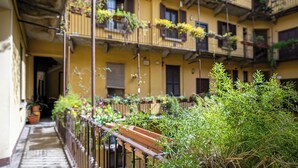 A yellow building with balconies, some with plants. - Italianway Comfort - Sottocorno 17 (Milan)