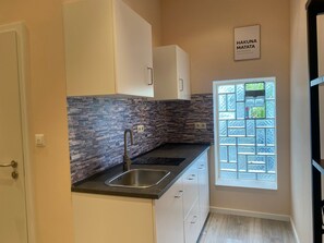 Fridge, microwave, oven, stovetop - Apartment Sleeps 3 With Parking and Garden (Koblenz)