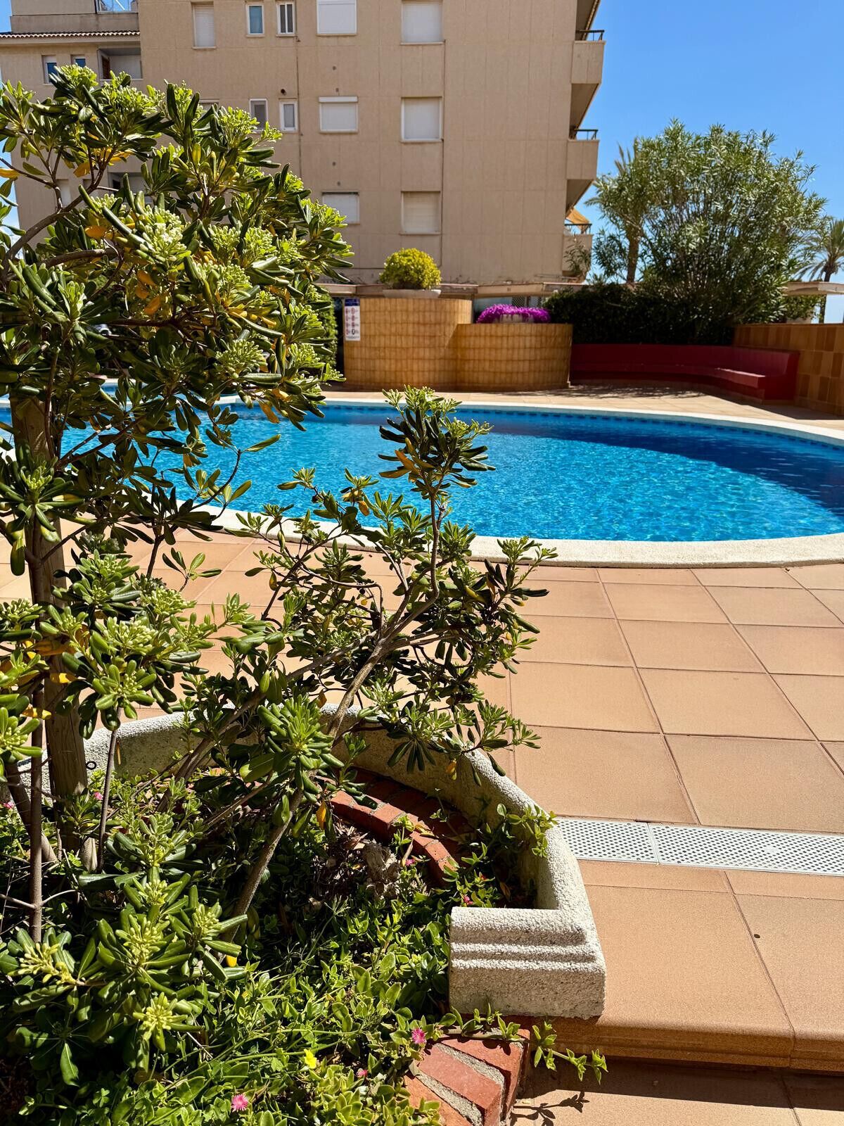 A swimming pool surrounded by greenery, a building in the background, and a clear blue sky.