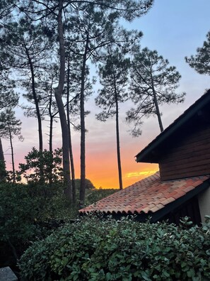 Nicht klassifiziertes Bild, 3 von 10, Schaltfläche