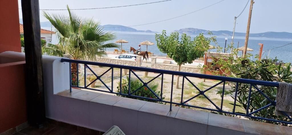 Comfort Apartment, Balcony, Sea View | Property grounds