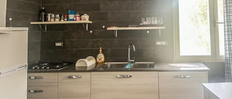Fridge, oven, stovetop, dishwasher