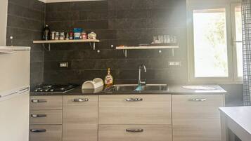 Fridge, oven, stovetop, dishwasher