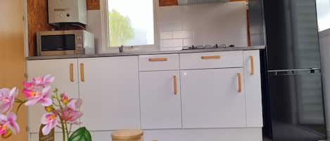 Classic Mobile Home, 2 Bedrooms | Private kitchen