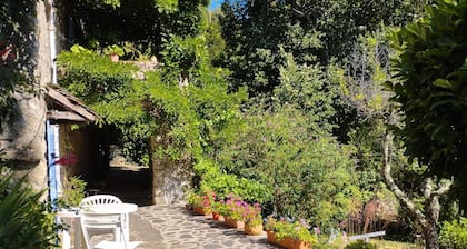 Gîte Asphodèle - Mas de la Petite Occitane - Cévennes - Nature, Hiking, Swimming pool