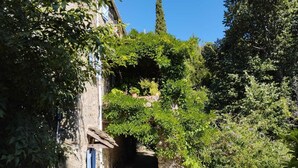 Un chemin de pierres mène à un bâtiment rustique doté d’une porte bleue, le tout étant entouré d’une végétation luxuriante et surplombé par un ciel bleu clair.