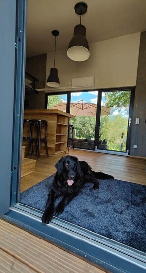 Interior - Tiny House an zwei Naturteichen – Ruhe, Kamin & Terrasse nahe Dresden - Best Price! (Großharthau)