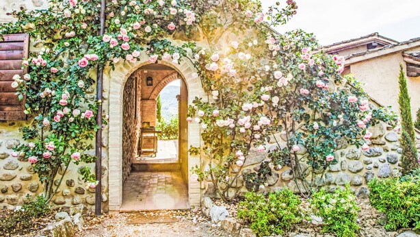 Un bâtiment en pierre doté d’une arche rustique, d’une porte en bois et d’un jardin où poussent des rosiers.