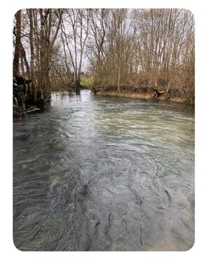 未分類的圖片,第 2 張,共 6 張,按鈕