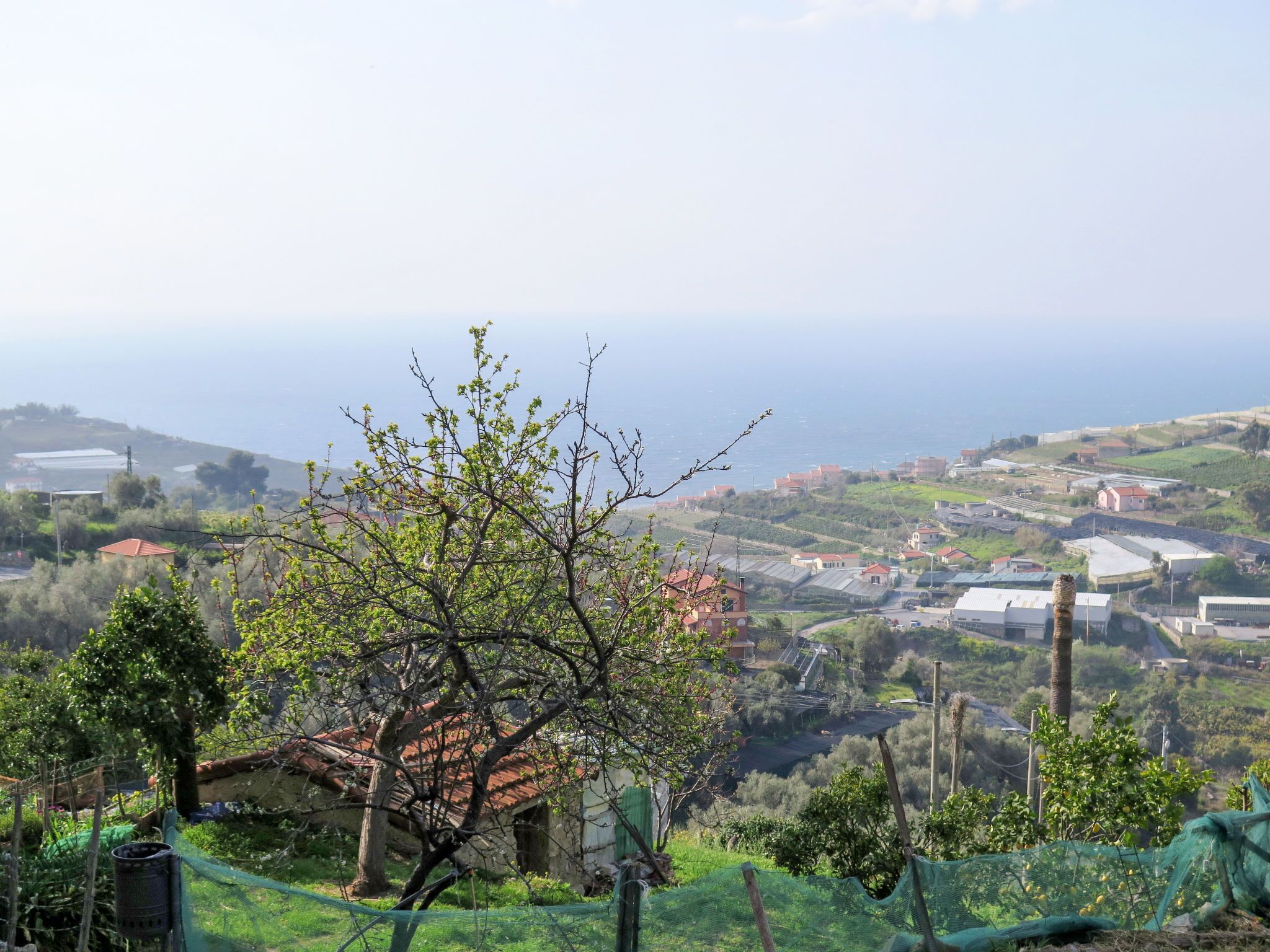 Paisaje costero con un árbol en primer plano, un edificio pequeño con techo rojo y vista al mar y edificios a la distancia.