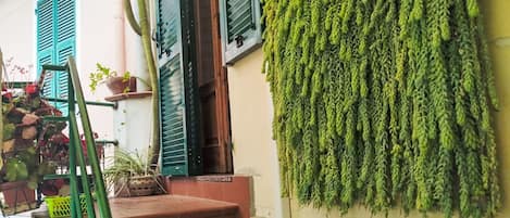 DĂ©tail de lâextĂ©rieur