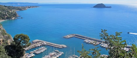 Marina