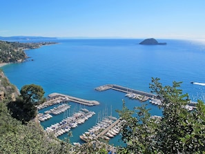 Ein Yachthafen mit zahlreichen vor Anker liegenden Booten, umgeben von einer Küstenlandschaft mit Bäumen und einer entfernten Insel.