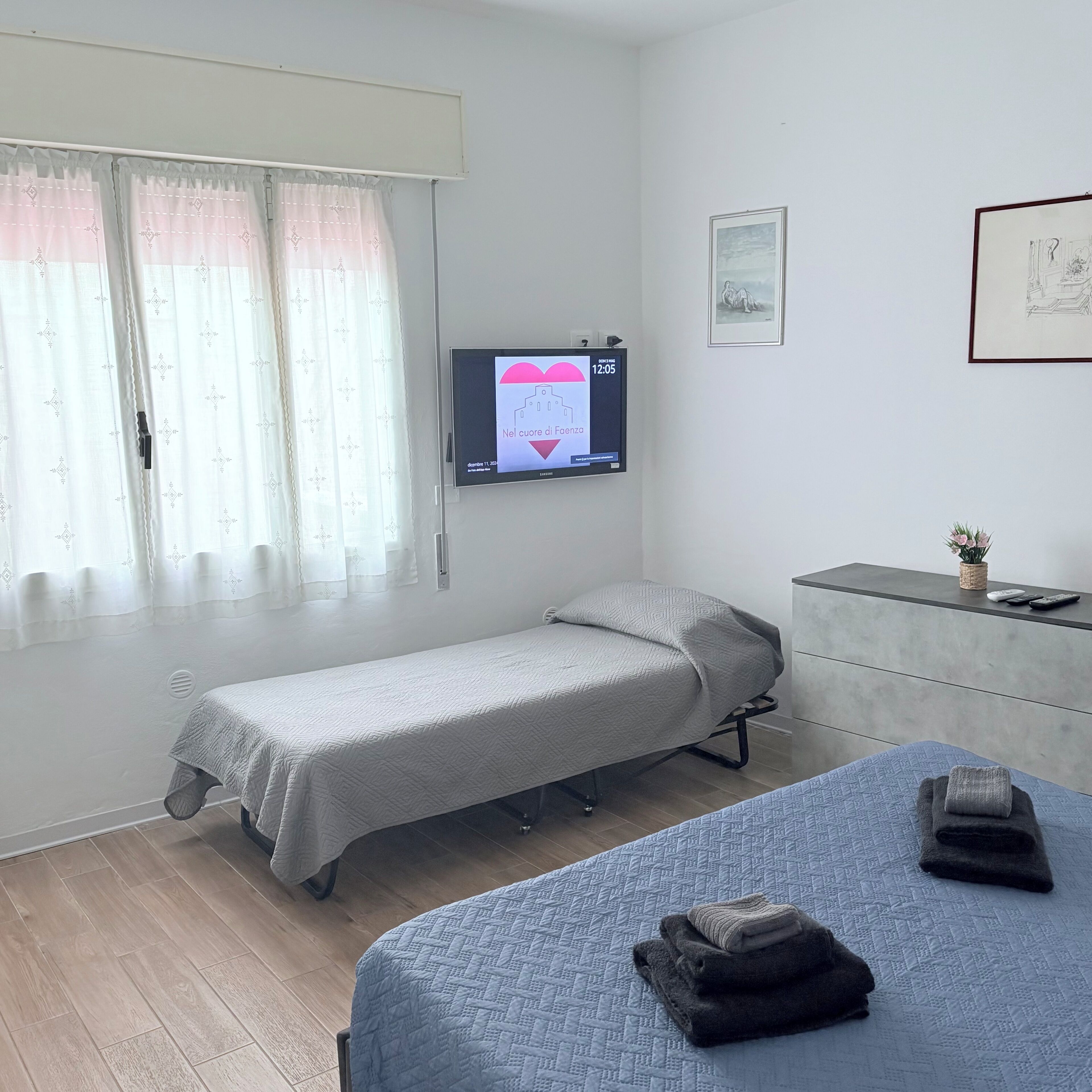 Camera con un letto singolo, televisione a parete, comodino con una pianta e finestra con tende.