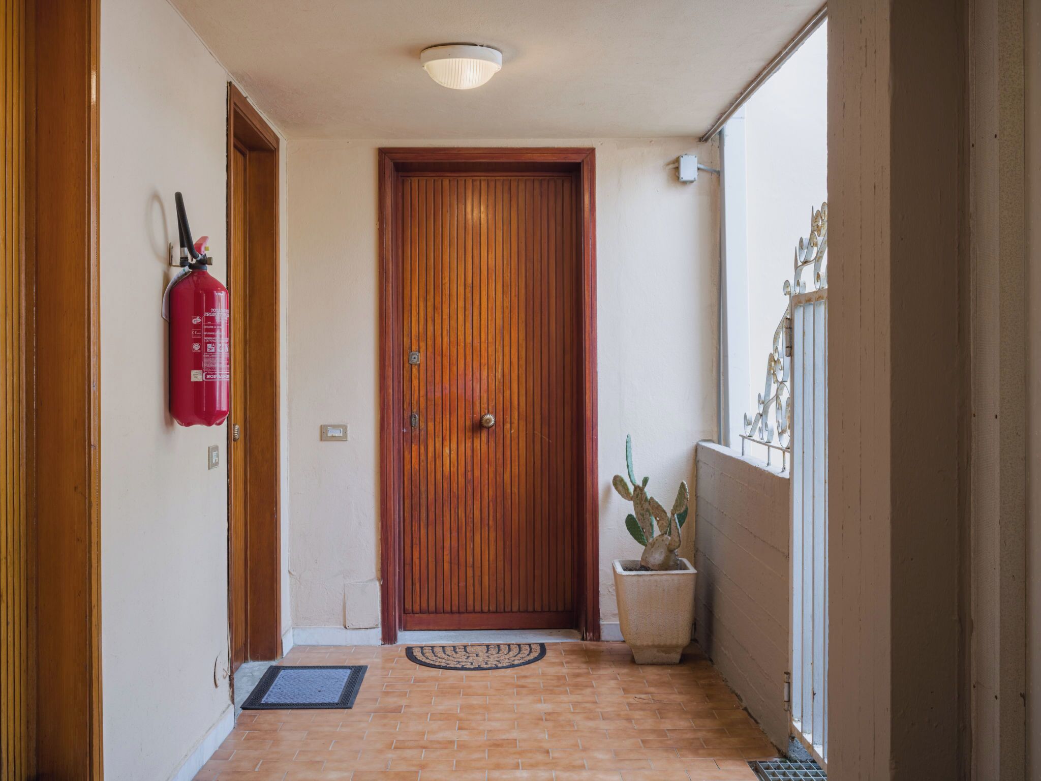 A hallway with a wooden door, a fire extinguisher, a potted plant, and a window with decorative elements.