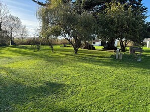 Imagem sem classificação, 3 de 7, botão