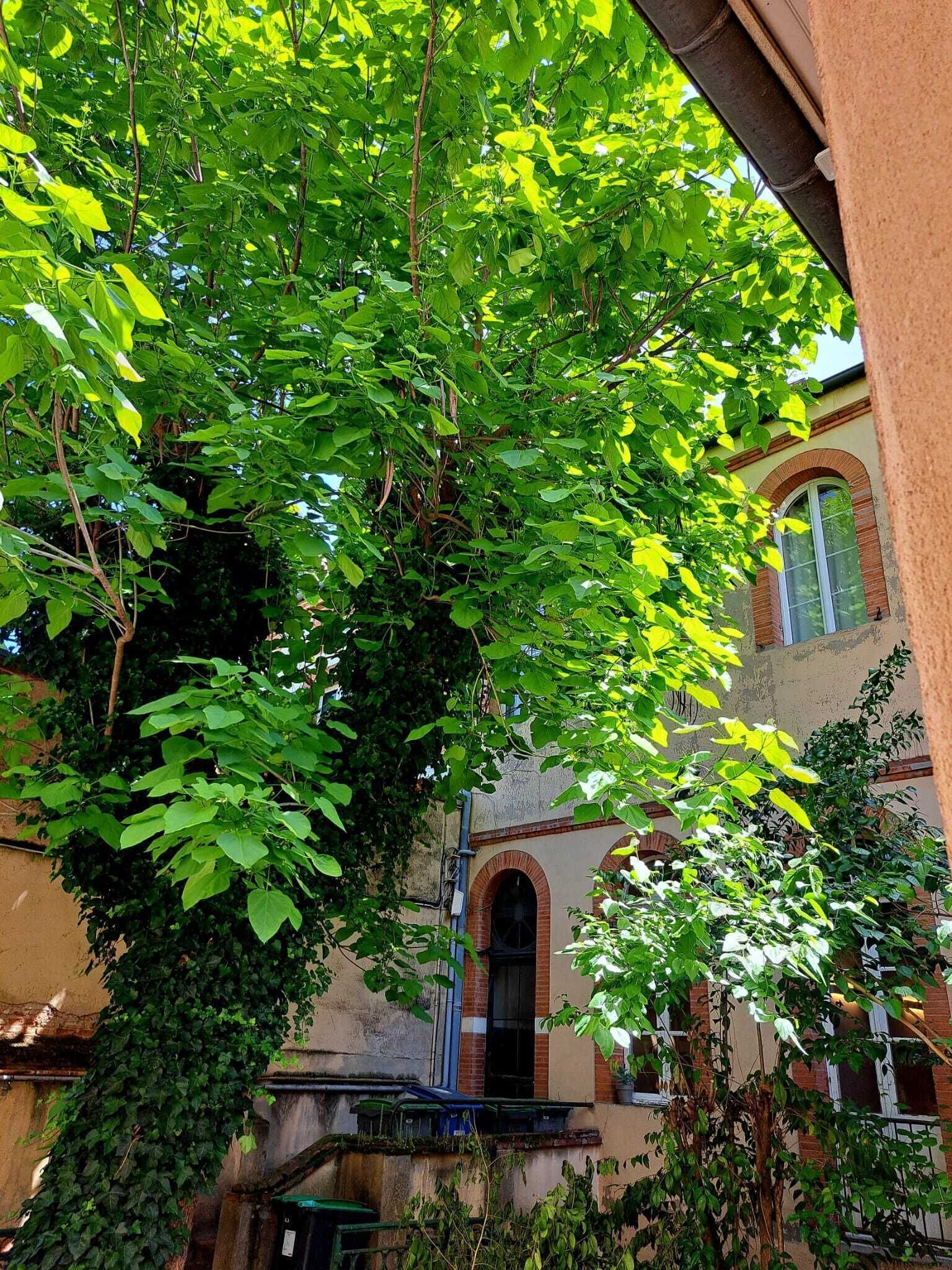 Detalle exterior