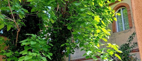 Außendetails