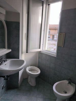 Assecador de cabells, bidet, tovalloles i sabó 