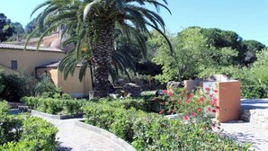 A building with a stone pathway, a palm tree, and a garden with red flowers. - Casa Roberta apartment 1 (Capoliveri isola d'Elba)