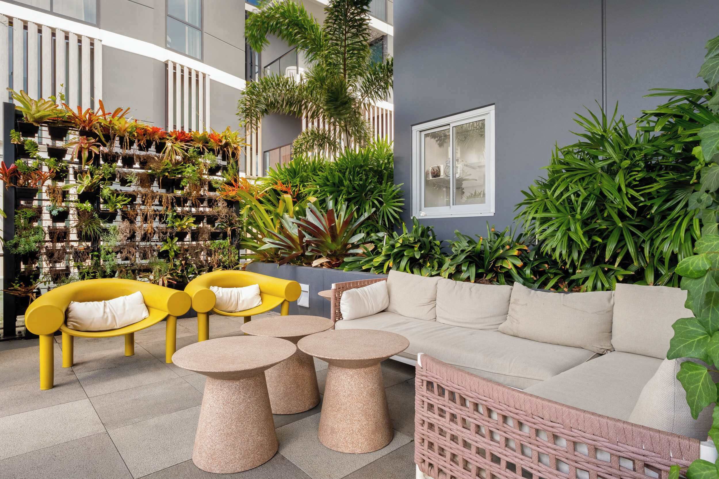 Terraza o patio