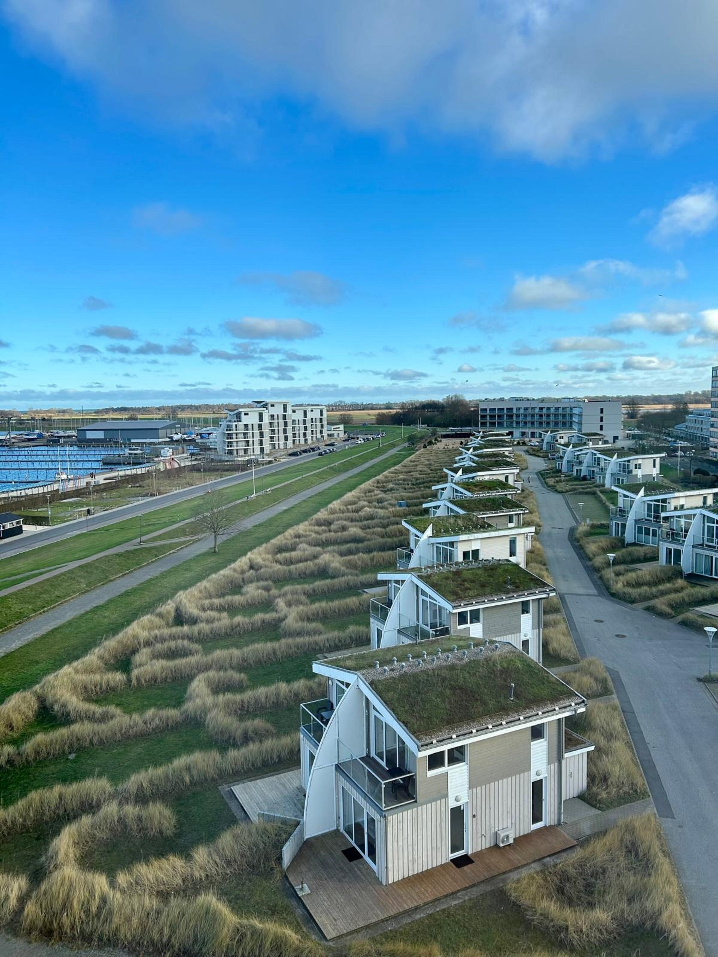 Ein modernes Wohngebiet mit Häusern mit begrünten Dächern, blauem Himmel und einer Straße im Vordergrund.
