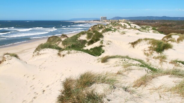 Une plage avec des dunes de sable et un bâtiment visible au loin.