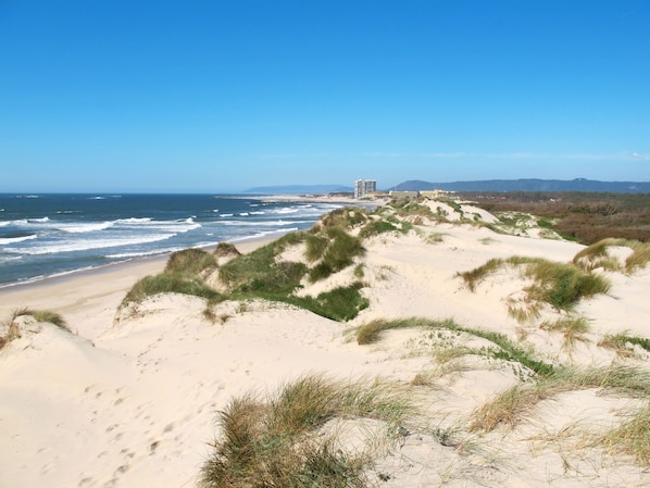 Un paisaje costero con dunas de arena y una playa.