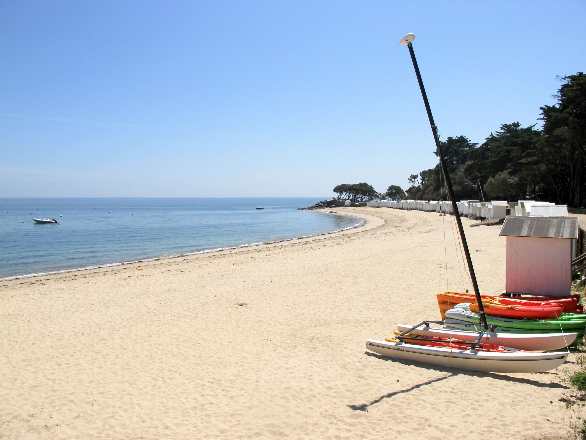 A beach with a row of kayaks and a fishing rod.