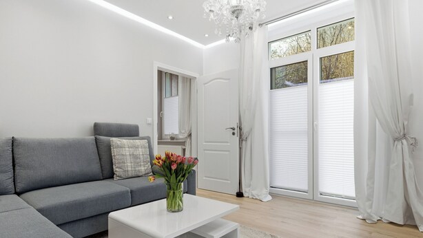 A modern living room with a grey sofa, a white coffee table, and a vase of flowers. - Vacation apartment "Waldduft" between the forest and the Baltic Sea beach (Heringsdorf)
