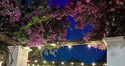 Playa dén Bossa Apartment