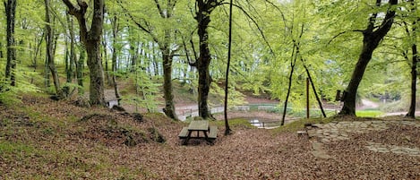 Terrain de lâhĂ©bergement